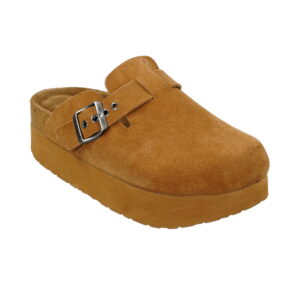 10001088camel_002