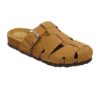 10001098 camel_002