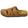 10001098 camel_003