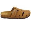 10001098 camel_004